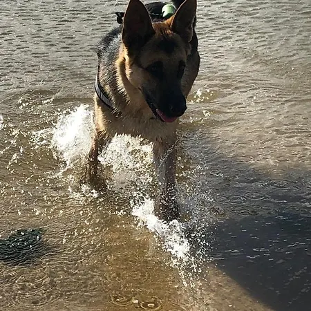 Casa Lagoa Gæstehus