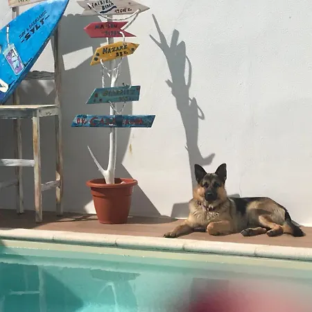 Guest house Casa Lagoa