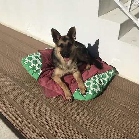 Casa de hóspedes Casa Lagoa 4*