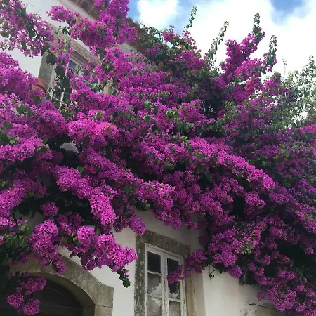 Casa Lagoa *
